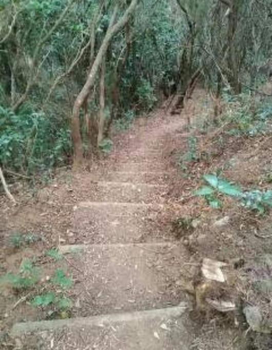 Monte Verde Chinamada Esterno foto